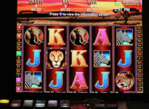 旺财28APP客户端