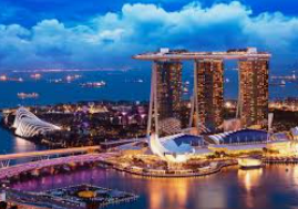 旺财28APP免费版